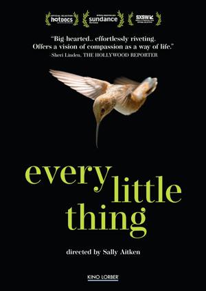 Every Little Thing [DVD]