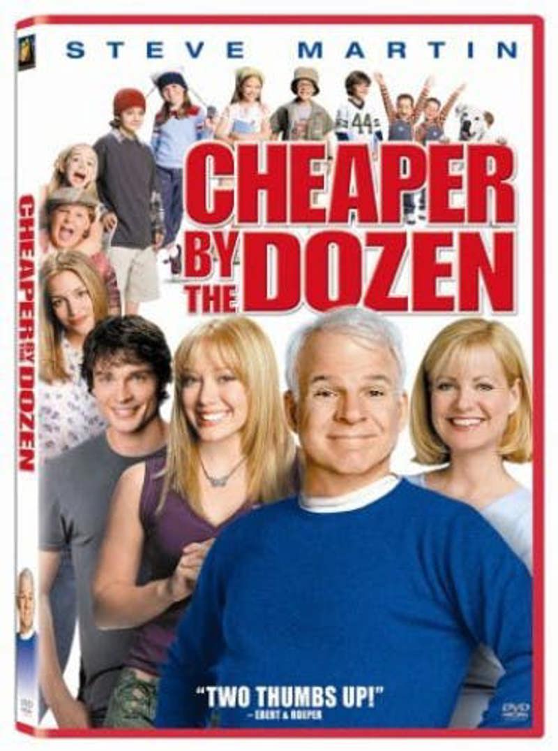 Cheaper By the Dozen (2003) [DVD]
