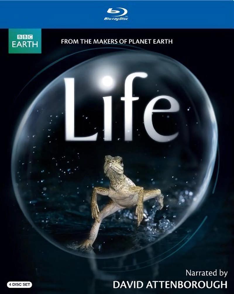 Life [Blu-ray]
