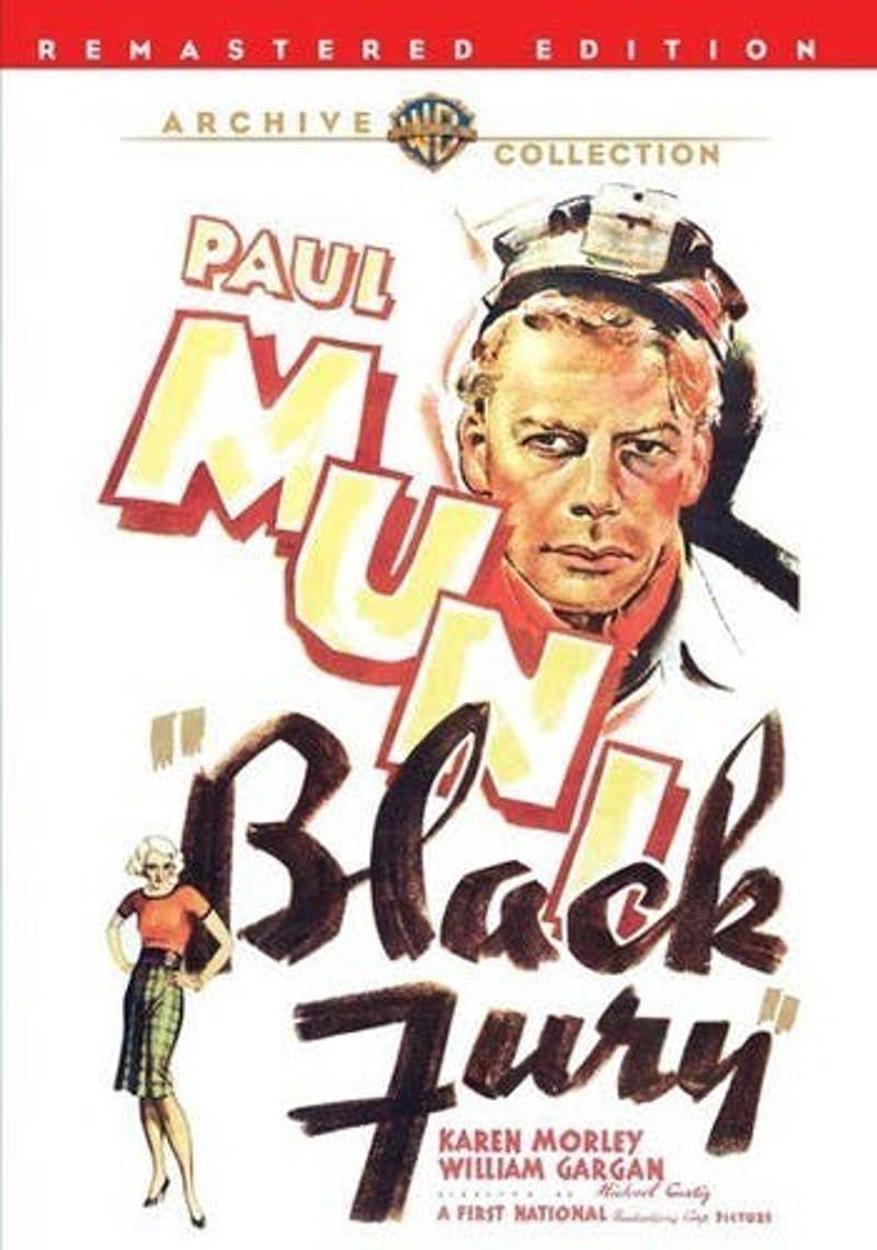 Black Fury [DVD]
