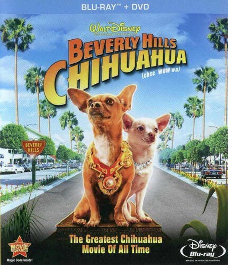 Beverly Hills Chihuahua [Blu-ray + DVD] [DVD]