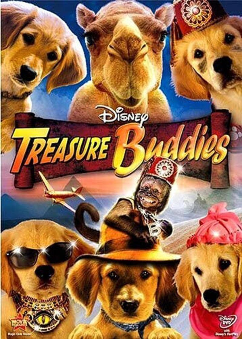 Treasure Buddies [DVD]