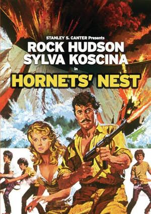 Hornet's Nest [DVD]