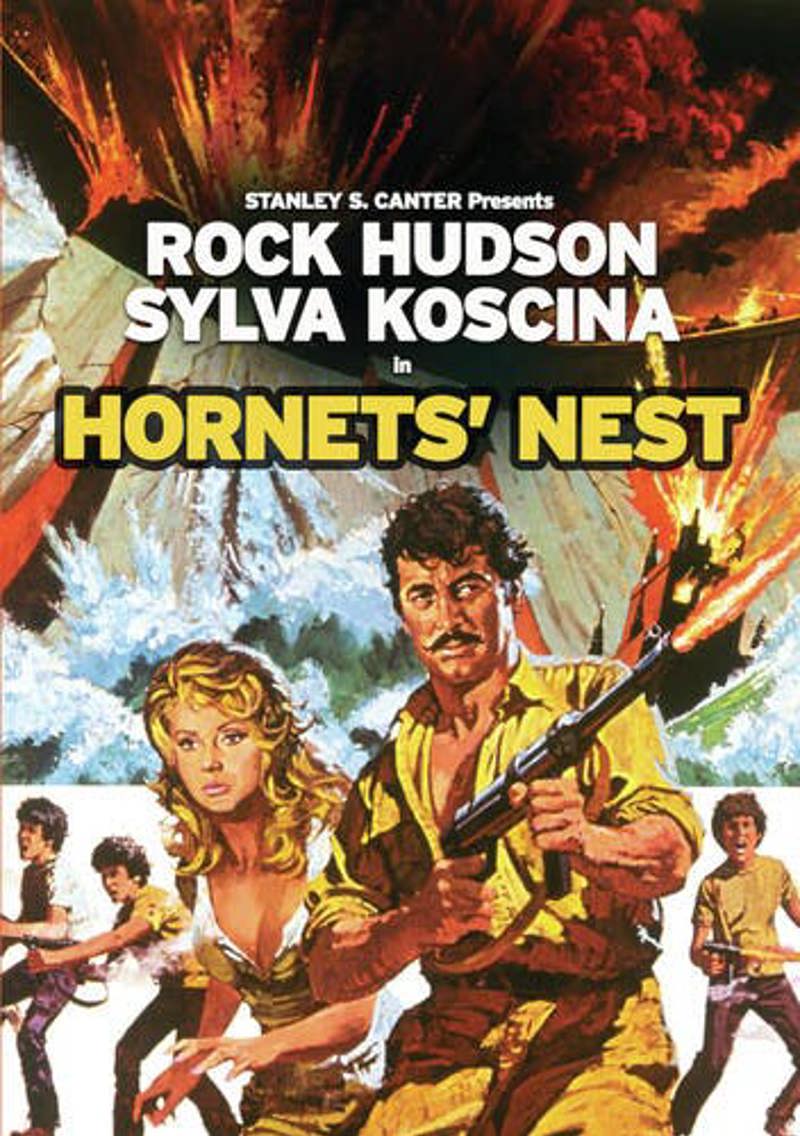 Hornet's Nest [DVD]