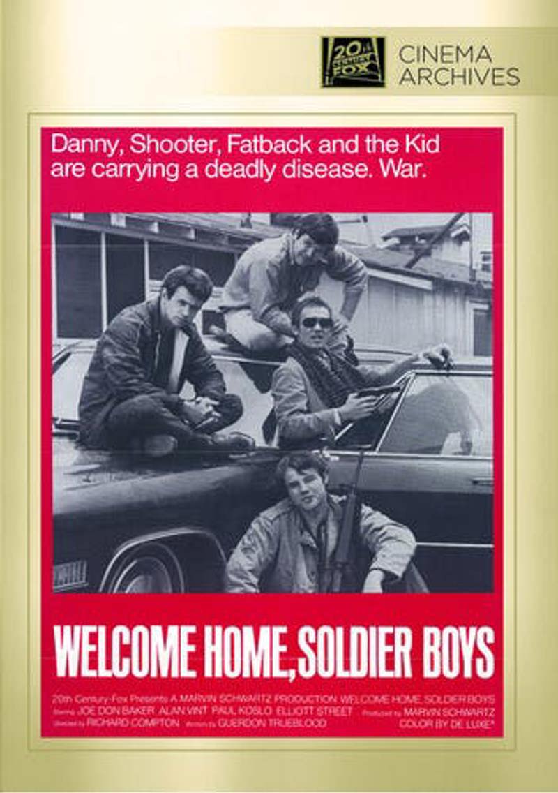 Welcome Home Soldier Boys [DVD]