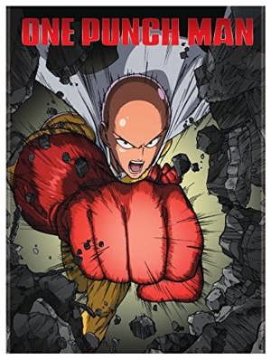 One - Punch Man Standard Edition [DVD]
