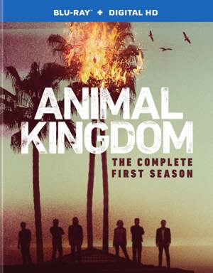 Animal Kingdom: The Complete First Season [Blu-ray]