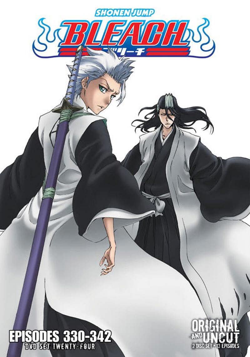 Bleach Uncut Set 24 (DVD Uncut) [DVD]