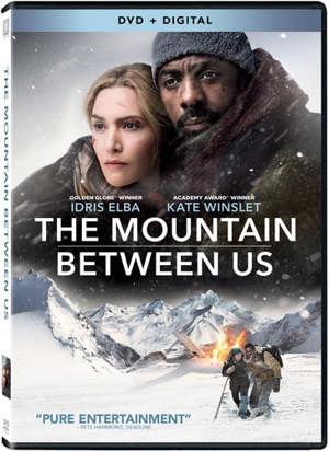 The Mountain Between Us [DVD]