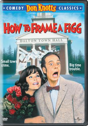 How to Frame a Figg [DVD]