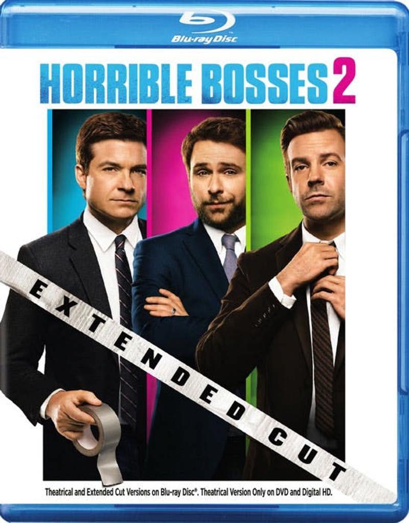 Horrible Bosses 2: Extended Cut & Theatrical Version [Blu-ray]