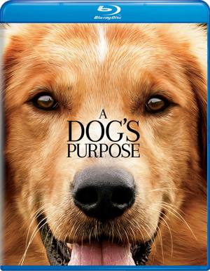 A Dog's Purpose (Blu-ray New Box Art) [Blu-ray]