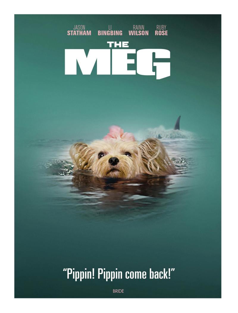 The Meg (IconicMoment Look) [DVD] [DVD]