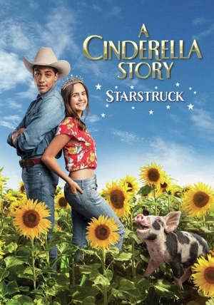 A Cinderella Story: Starstruck [DVD]