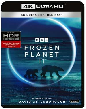 Frozen Planet II (4K Ultra HD + Blu-ray) [UHD]