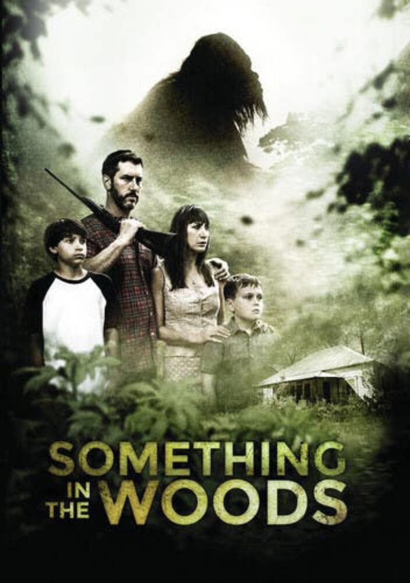 Something In The Woods [DVD]