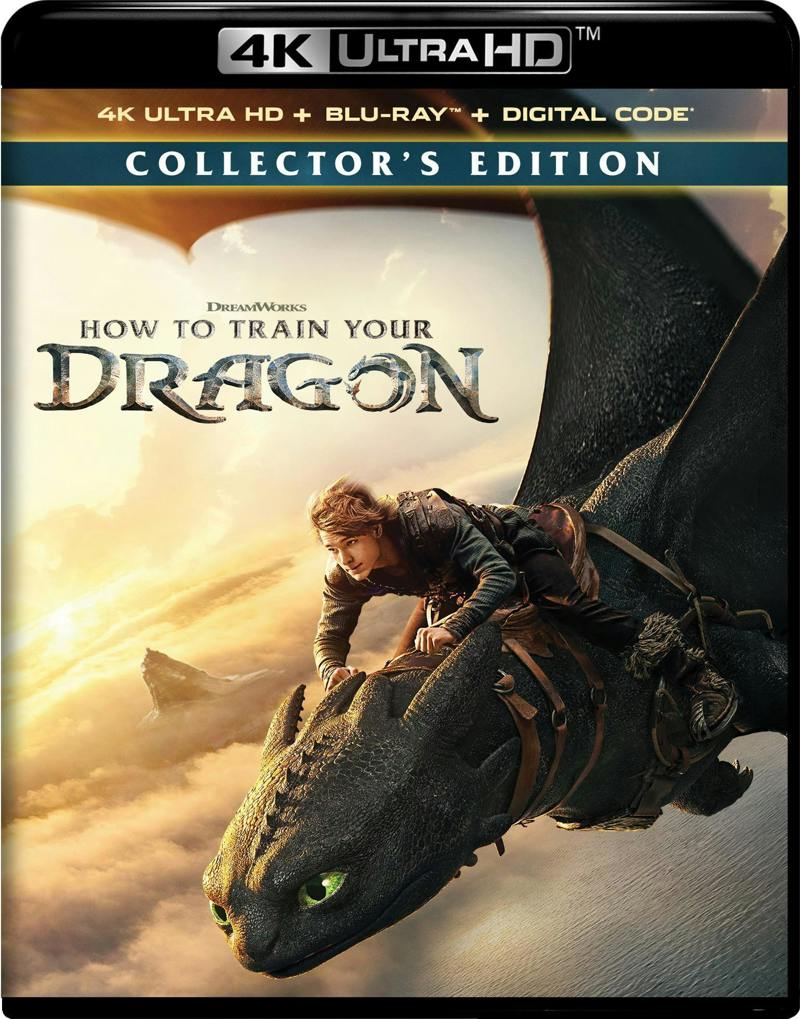 How to Train Your Dragon (4K Ultra HD + Blu-ray + Digital) [UHD]