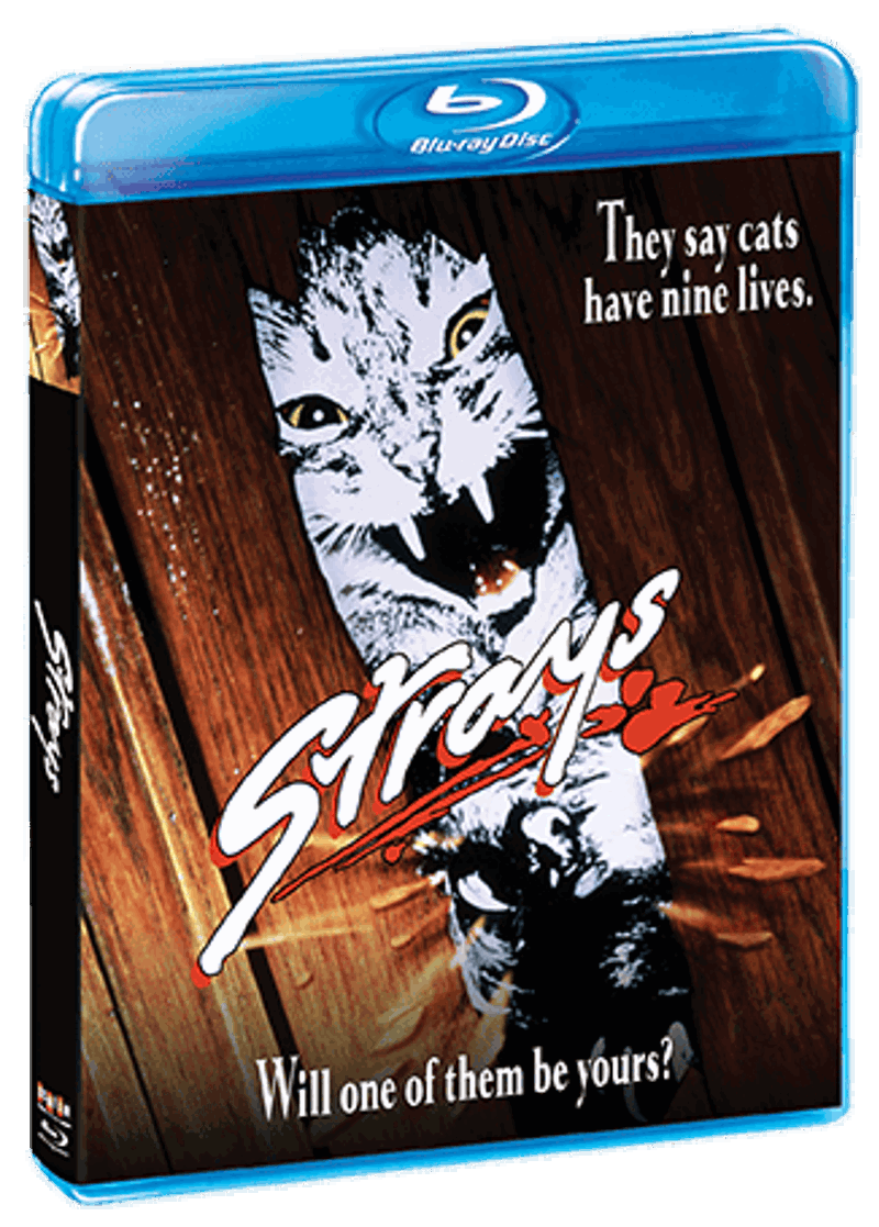Strays [Blu-ray]