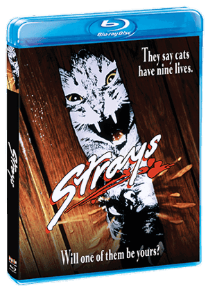 Strays [Blu-ray]