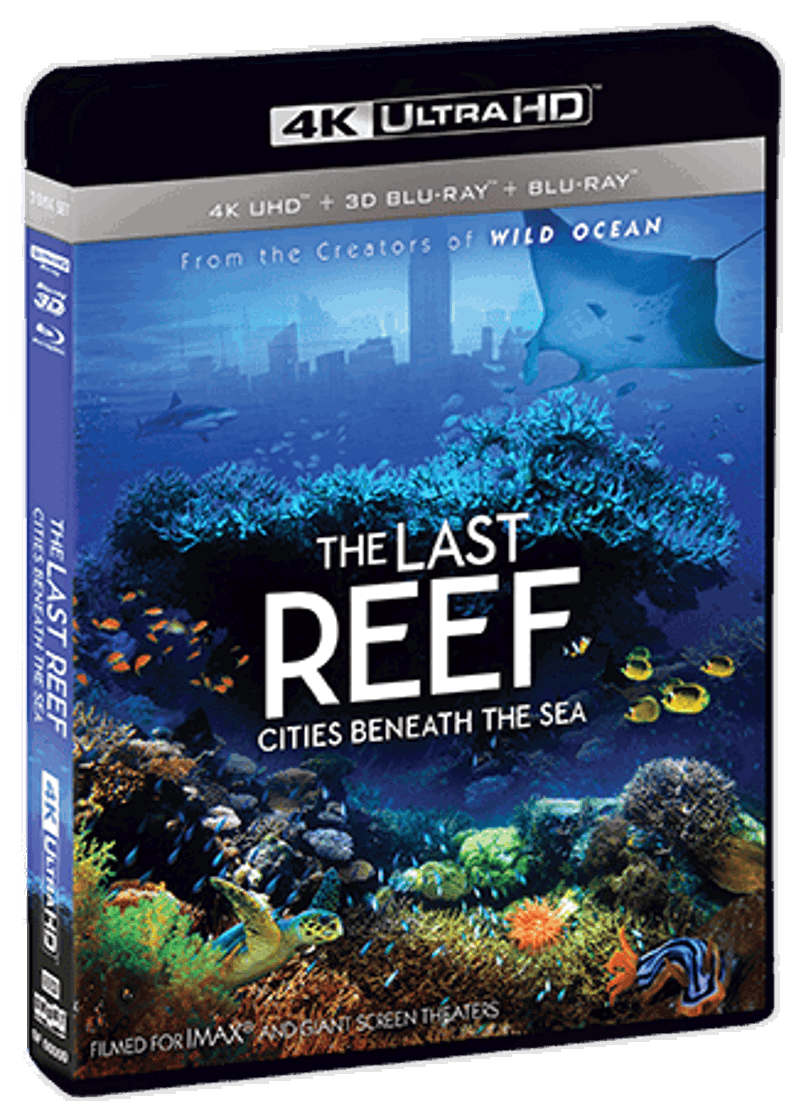 The Last Reef: Cities Beneath The Sea [UHD]