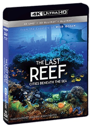 The Last Reef: Cities Beneath The Sea [UHD]