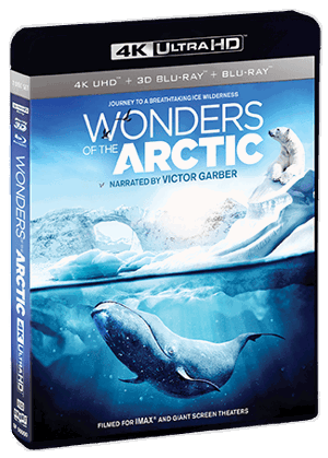 Wonders Of The Arctic [UHD]