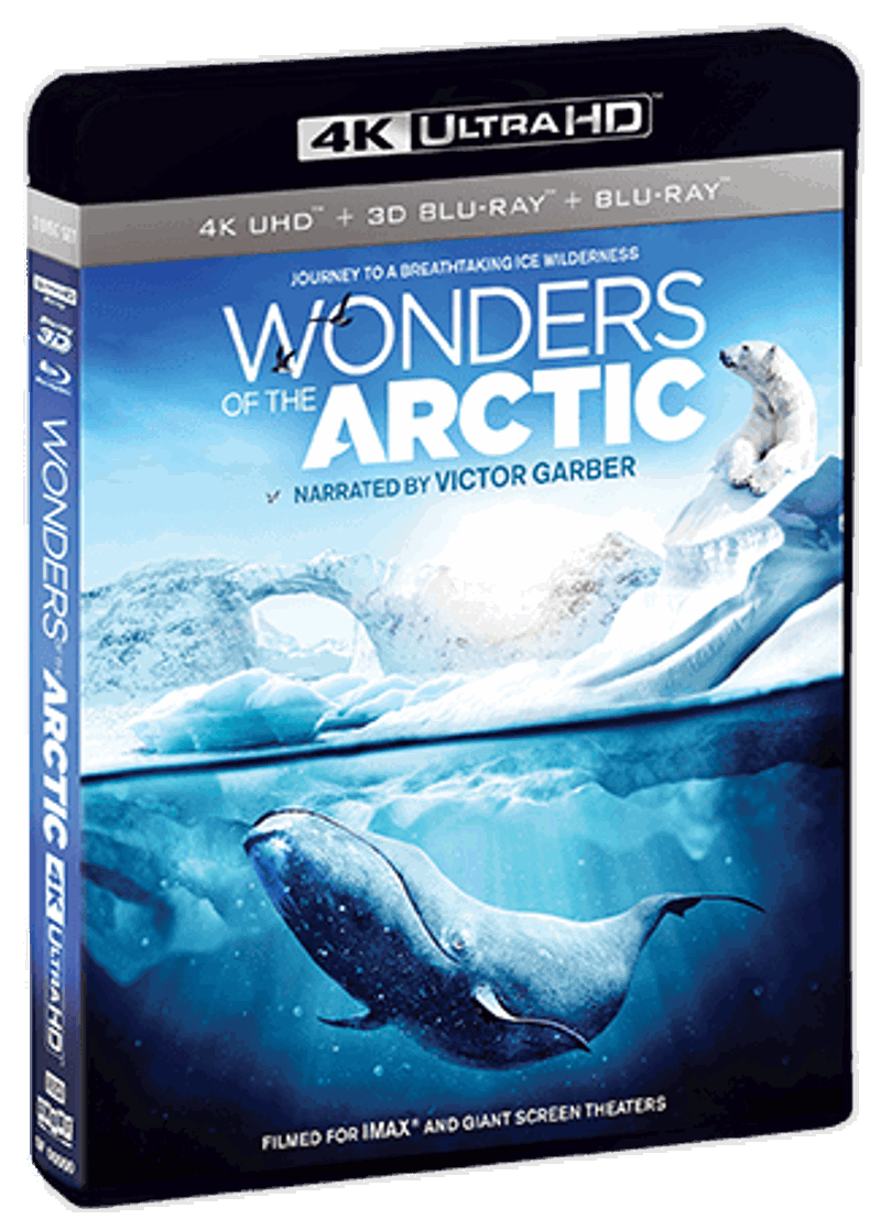 Wonders Of The Arctic [UHD]