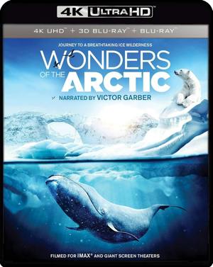 Wonders Of The Arctic [UHD]