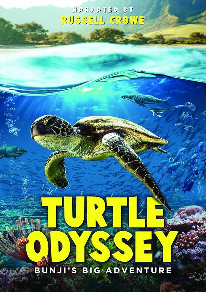 Turtle Odyssey [DVD]