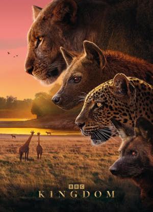 Kingdom [Blu-ray]