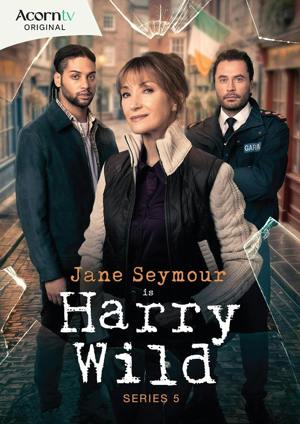 Harry Wild: Series 5 [DVD]